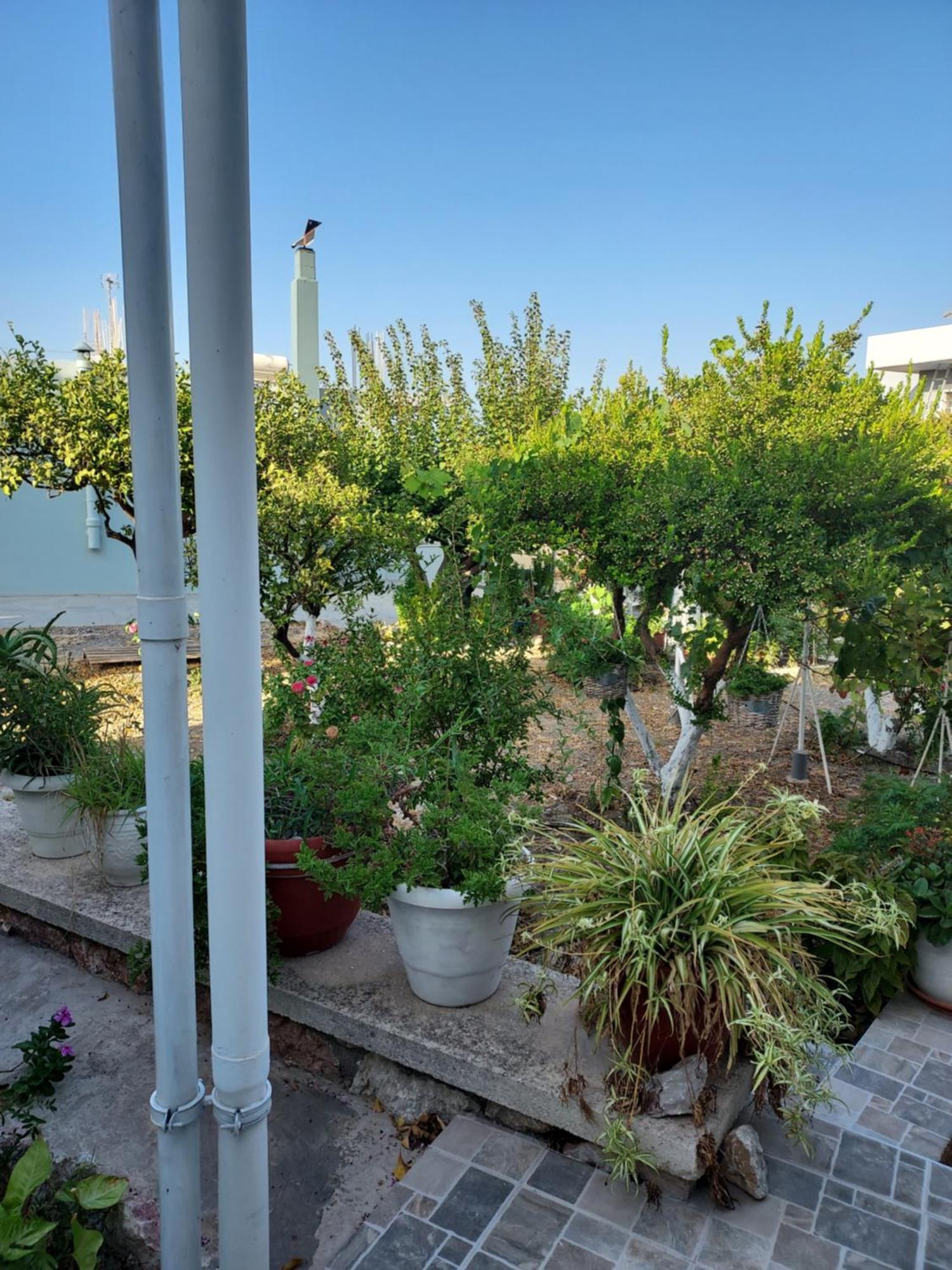 Anastasia'S Garden House إياليسوس المظهر الخارجي الصورة