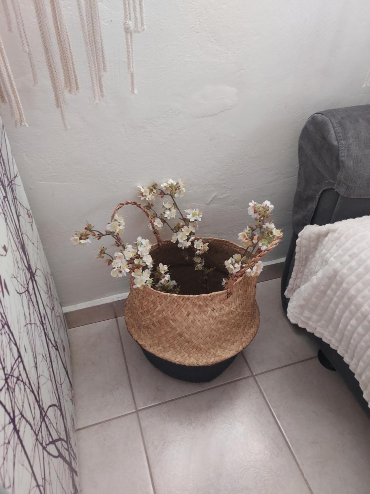 Anastasia'S Garden House إياليسوس المظهر الخارجي الصورة
