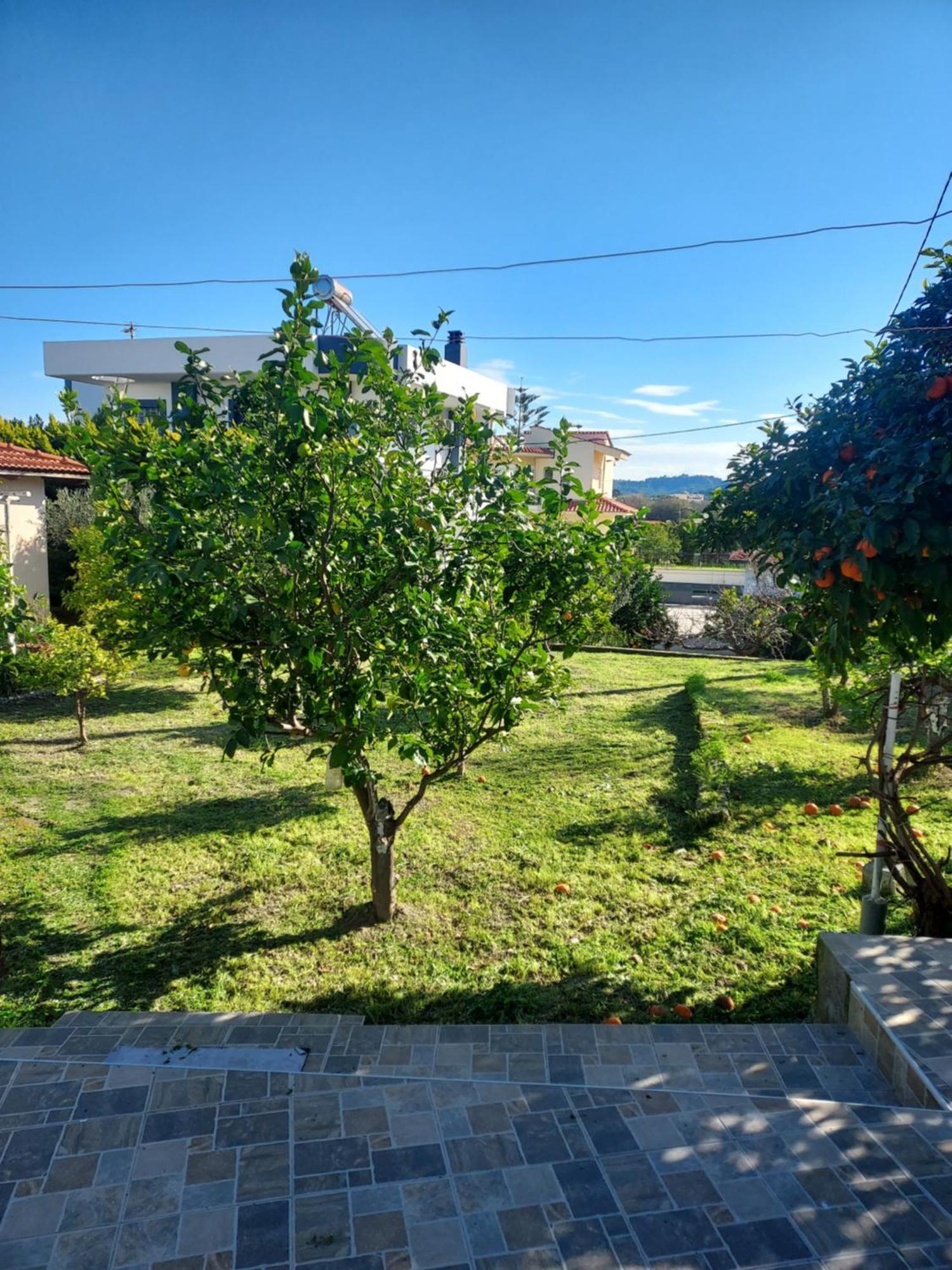 Anastasia'S Garden House إياليسوس المظهر الخارجي الصورة