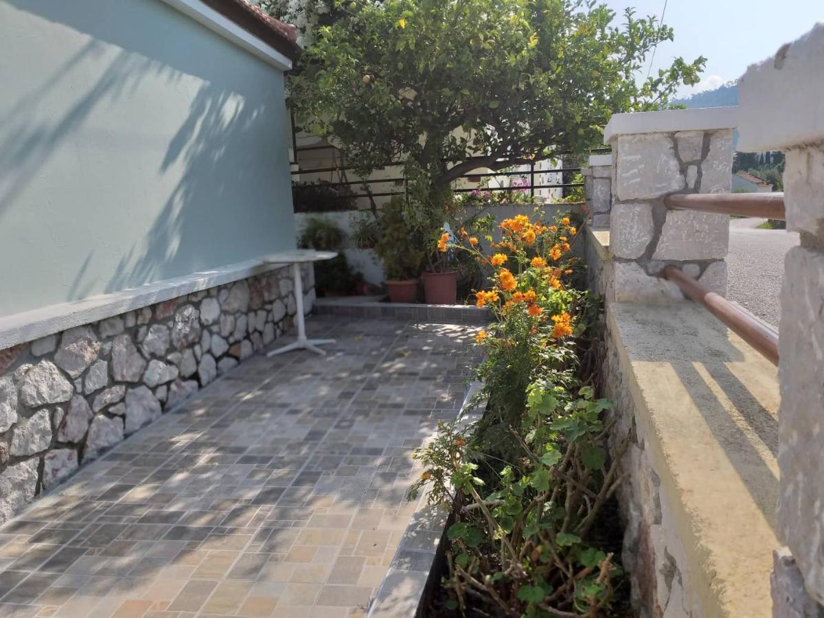 Anastasia'S Garden House إياليسوس المظهر الخارجي الصورة